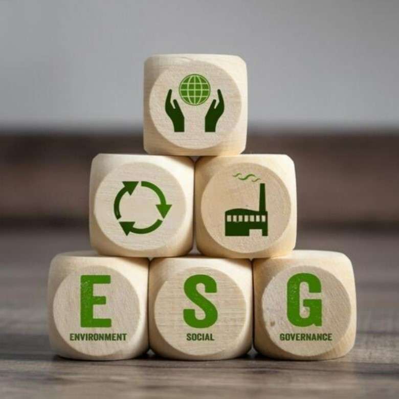 ESG Description