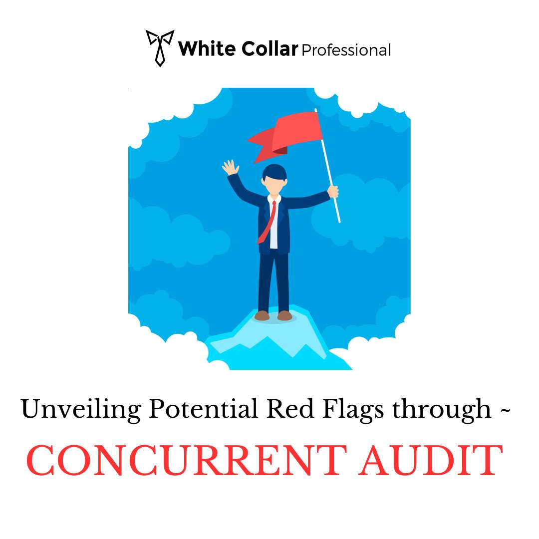 Unveiling Potential Red Flags through Concurrent Audit