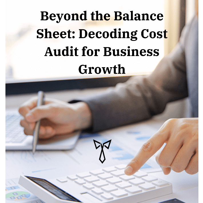 Cost Audit for Business Growth - White Collar Professional